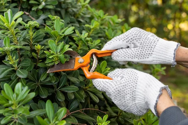 como afilar tijeras de jardin